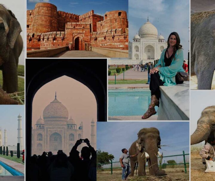 Sunrise Taj Mahal Tour with Elephant Conservation from Delhi